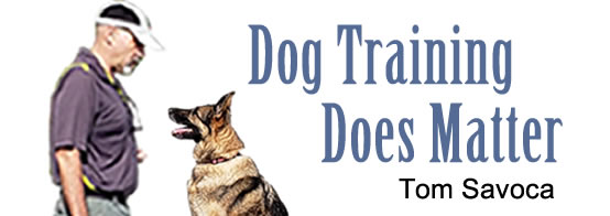 Pennsylvania Dog Training