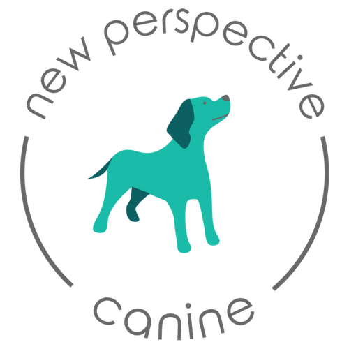 New Perspective Canine Frankford Avenue Philadelphia, PA (267) 420-0672